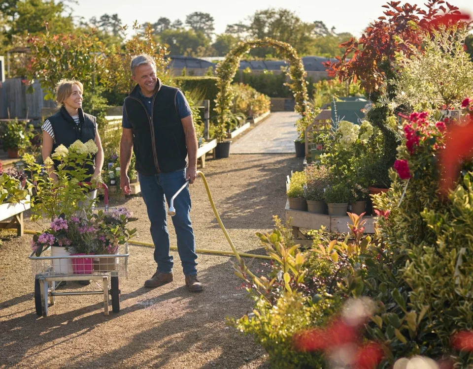 Garden centre staff walking through an outdoor plant nursery with flowers, shrubs and a trolley during a busy working day.